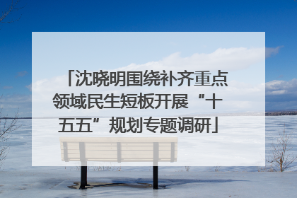 沈晓明围绕补齐重点领域民生短板开展“十五五”规划专题调研