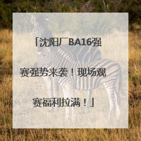 沈阳厂BA16强赛强势来袭！现场观赛福利拉满！