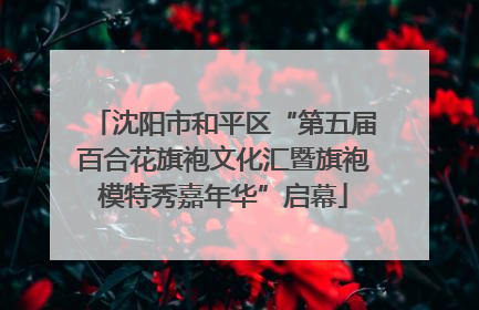 沈阳市和平区“第五届百合花旗袍文化汇暨旗袍模特秀嘉年华”启幕