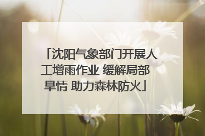 沈阳气象部门开展人工增雨作业 缓解局部旱情 助力森林防火