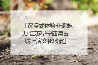 沉浸式体验非遗魅力 江苏阜宁庙湾古城上演文化盛宴