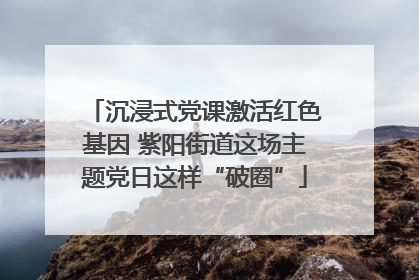 沉浸式党课激活红色基因 紫阳街道这场主题党日这样“破圈”
