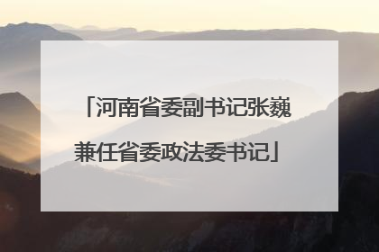 河南省委副书记张巍兼任省委政法委书记