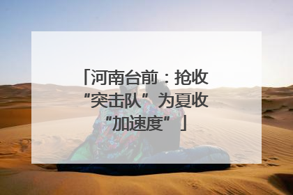 河南台前：抢收“突击队”为夏收“加速度”