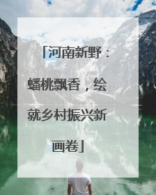 河南新野：蟠桃飘香，绘就乡村振兴新画卷