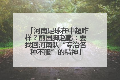 河南足球在中超咋样？前国脚赵鹏：要找回河南队“专治各种不服”的精神