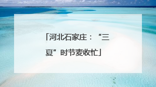 河北石家庄：“三夏”时节麦收忙