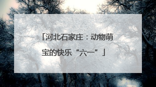 河北石家庄：动物萌宝的快乐“六一”