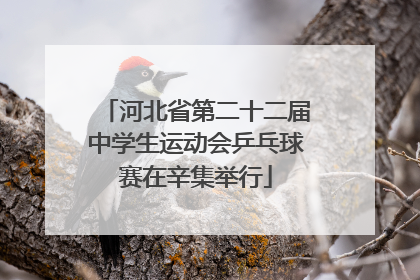 河北省第二十二届中学生运动会乒乓球赛在辛集举行