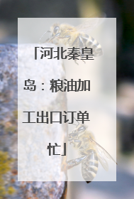 河北秦皇岛：粮油加工出口订单忙