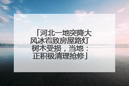河北一地突降大风冰雹致房屋路灯树木受损，当地：正积极清理抢修