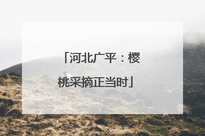 河北广平：樱桃采摘正当时