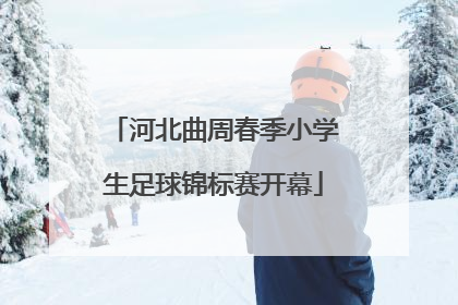 河北曲周春季小学生足球锦标赛开幕