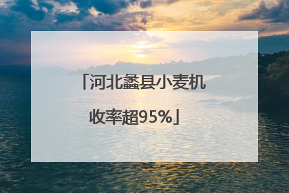 河北蠡县小麦机收率超95%
