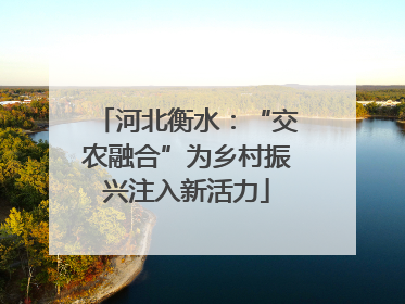 河北衡水：“交农融合”为乡村振兴注入新活力