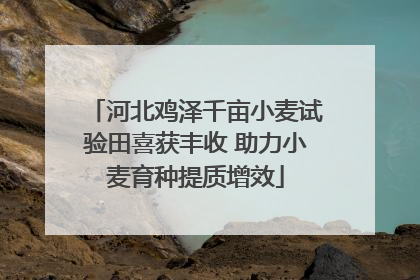 河北鸡泽千亩小麦试验田喜获丰收 助力小麦育种提质增效