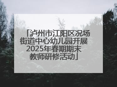 泸州市江阳区况场街道中心幼儿园开展2025年春期期末教师研修活动