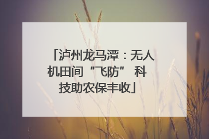 泸州龙马潭：无人机田间“飞防” 科技助农保丰收