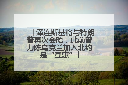 泽连斯基将与特朗普再次会晤，此前曾力陈乌克兰加入北约是“互惠”