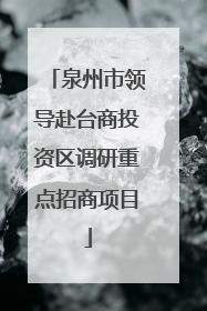泉州市领导赴台商投资区调研重点招商项目