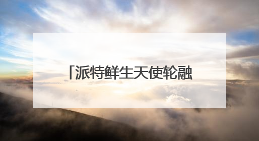 派特鲜生天使轮融资2500万美元，与海鼎共推宠物食品数智化升级