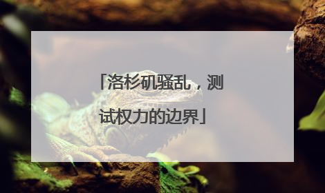 洛杉矶骚乱，测试权力的边界