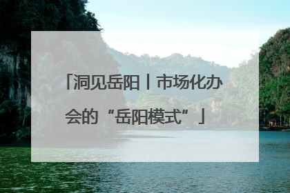 洞见岳阳丨市场化办会的“岳阳模式”