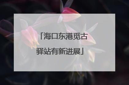 海口东港觅古驿站有新进展