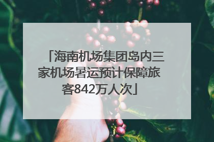 海南机场集团岛内三家机场暑运预计保障旅客842万人次
