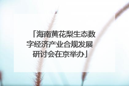 海南黄花梨生态数字经济产业合规发展研讨会在京举办