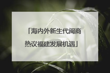 海内外新生代闽商热议福建发展机遇