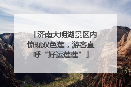 济南大明湖景区内惊现双色莲，游客直呼“好运莲莲”