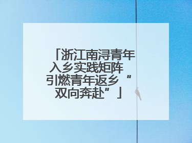 浙江南浔青年入乡实践矩阵 引燃青年返乡“双向奔赴”