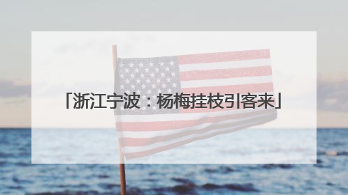 浙江宁波：杨梅挂枝引客来