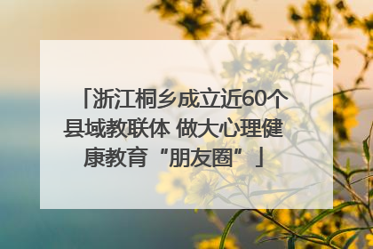浙江桐乡成立近60个县域教联体 做大心理健康教育“朋友圈”