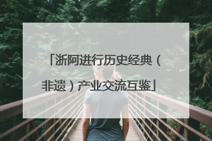 浙阿进行历史经典（非遗）产业交流互鉴