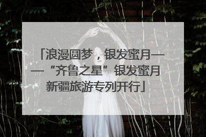 浪漫圆梦，银发蜜月——“齐鲁之星”银发蜜月新疆旅游专列开行