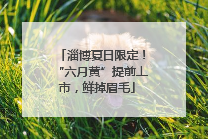 淄博夏日限定！“六月黄”提前上市，鲜掉眉毛