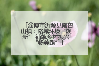 淄博市沂源县南鲁山镇：路域环境“焕新” 铺就乡村振兴“畅美路”