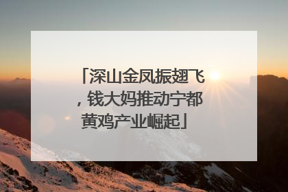 深山金凤振翅飞，钱大妈推动宁都黄鸡产业崛起