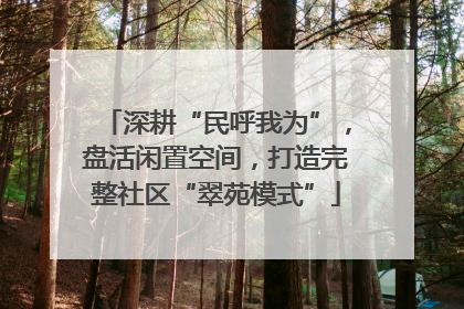深耕“民呼我为”，盘活闲置空间，打造完整社区“翠苑模式”