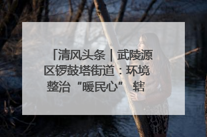 清风头条｜武陵源区锣鼓塔街道：环境整治“暖民心” 辖区面貌“靓”起来