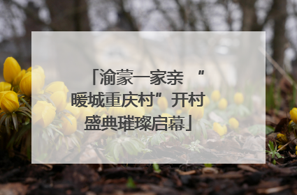 渝蒙一家亲 “暖城重庆村”开村盛典璀璨启幕