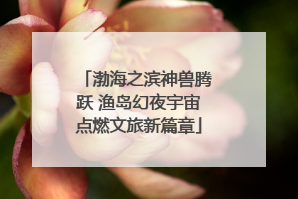 渤海之滨神兽腾跃 渔岛幻夜宇宙点燃文旅新篇章