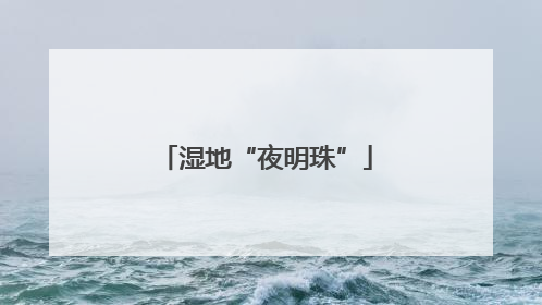 湿地“夜明珠”