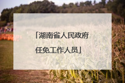 湖南省人民政府任免工作人员