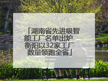 湖南省先进级智能工厂名单出炉 衡阳以32家工厂数量领跑全省