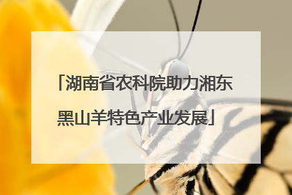 湖南省农科院助力湘东黑山羊特色产业发展