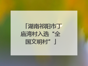 湖南祁阳市丁庙湾村入选“全国文明村”