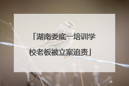 湖南娄底一培训学校老板被立案追责